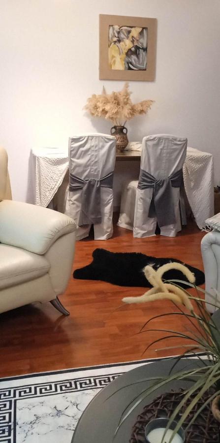 Lovely Cozy Apartment In The Entrance Of Nicosia Aglantzia エクステリア 写真